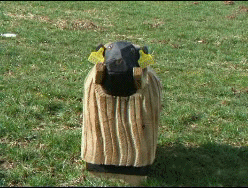 Nodding wooden sheep